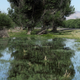 Illustration for article titled Shooting Challenge: Reflection 1